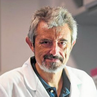 Dr. Juan Antonio Madrid
